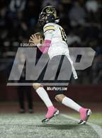 Photo from the gallery "Roy @ Northridge"