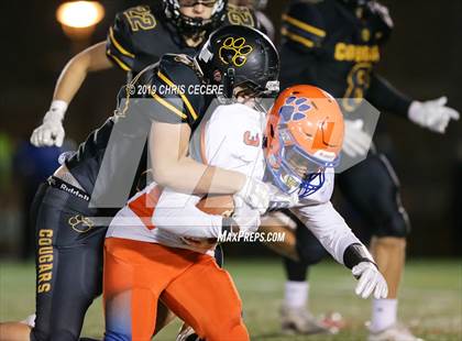 Thumbnail 3 in Livonia vs. Honeoye Falls-Lima (Section 5 Class B Final) photogallery.