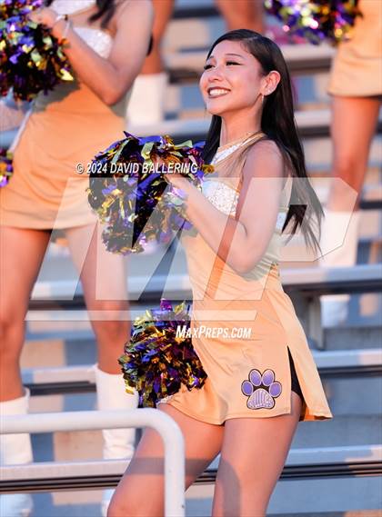 Thumbnail 1 in Everman @ Grapevine photogallery.