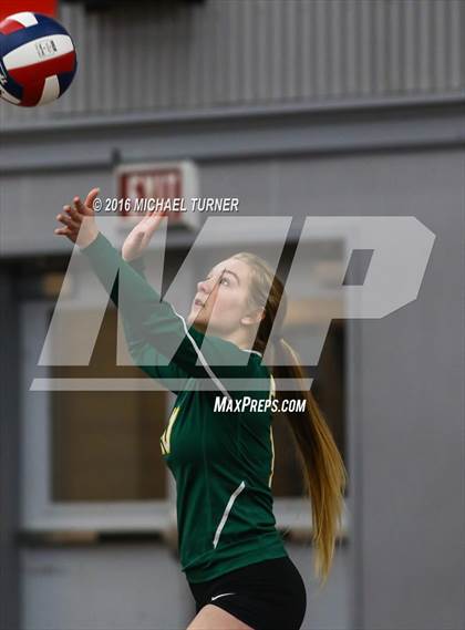 Thumbnail 1 in Paradise @ Foothill photogallery.