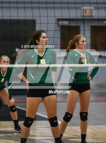 Thumbnail 3 in Paradise @ Foothill photogallery.