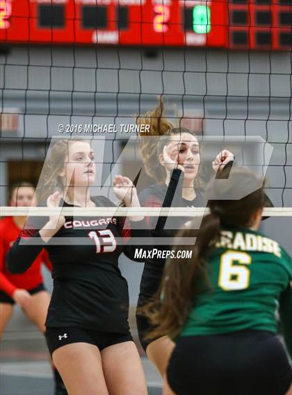 Thumbnail 1 in Paradise @ Foothill photogallery.