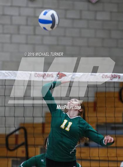 Thumbnail 2 in Paradise @ Foothill photogallery.