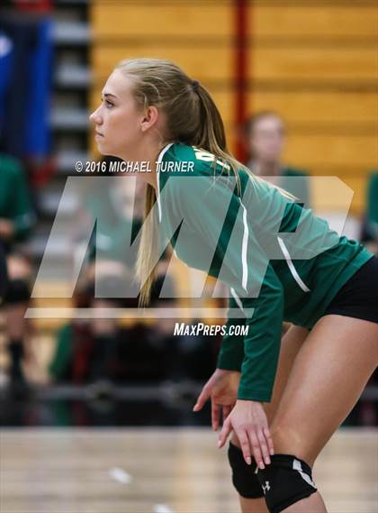 Thumbnail 3 in Paradise @ Foothill photogallery.