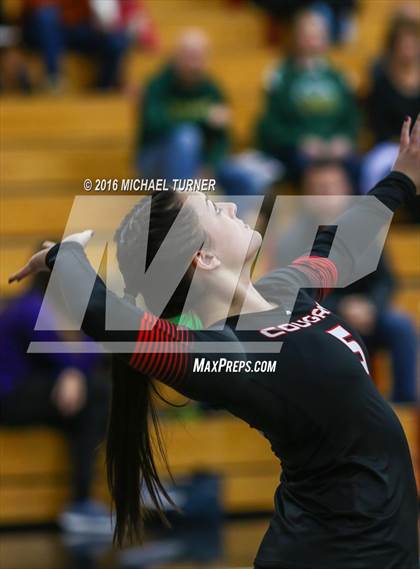Thumbnail 2 in Paradise @ Foothill photogallery.