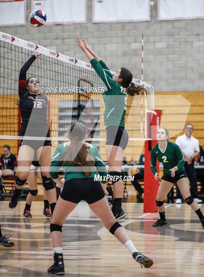 Thumbnail 3 in Paradise @ Foothill photogallery.