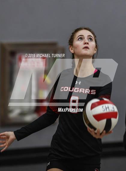 Thumbnail 2 in Paradise @ Foothill photogallery.