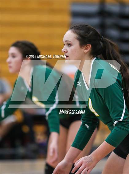 Thumbnail 1 in Paradise @ Foothill photogallery.