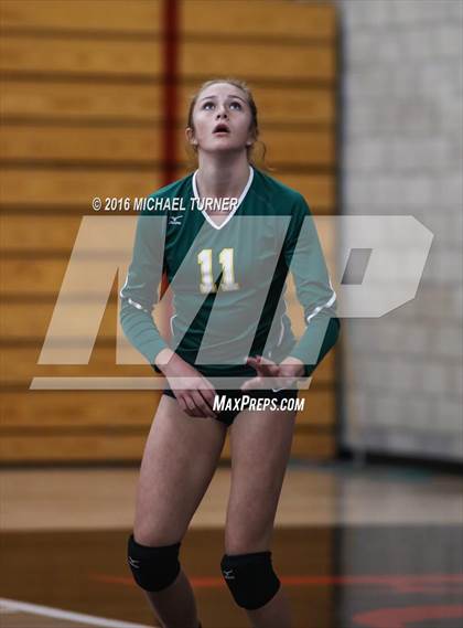 Thumbnail 1 in Paradise @ Foothill photogallery.