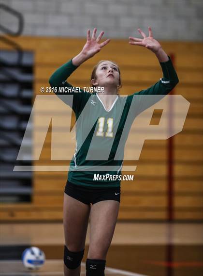 Thumbnail 3 in Paradise @ Foothill photogallery.