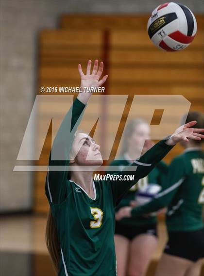 Thumbnail 1 in Paradise @ Foothill photogallery.