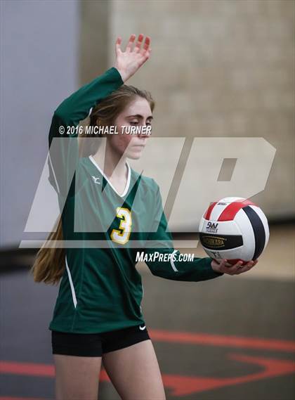 Thumbnail 3 in Paradise @ Foothill photogallery.