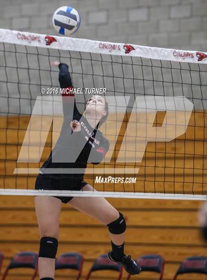 Thumbnail 1 in Paradise @ Foothill photogallery.