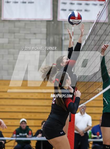 Thumbnail 1 in Paradise @ Foothill photogallery.