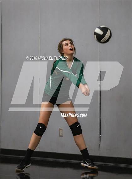 Thumbnail 2 in Paradise @ Foothill photogallery.