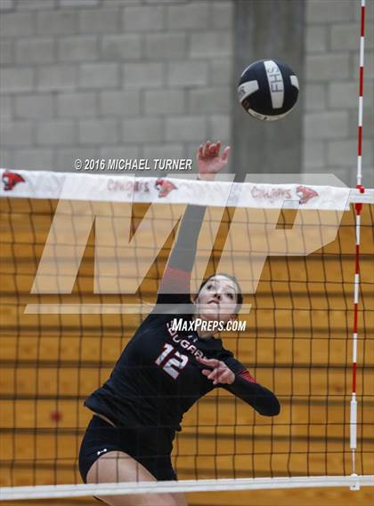 Thumbnail 2 in Paradise @ Foothill photogallery.