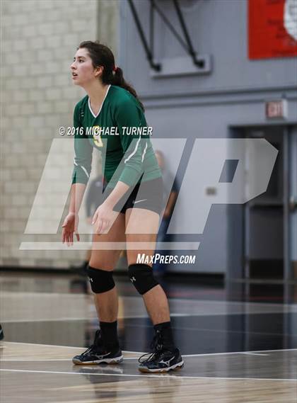 Thumbnail 1 in Paradise @ Foothill photogallery.