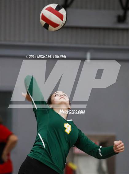 Thumbnail 2 in Paradise @ Foothill photogallery.