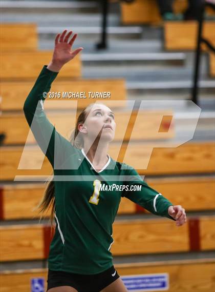 Thumbnail 2 in Paradise @ Foothill photogallery.