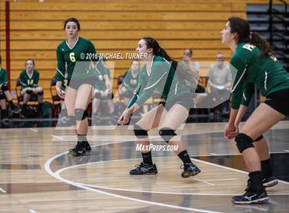 Thumbnail 2 in Paradise @ Foothill photogallery.