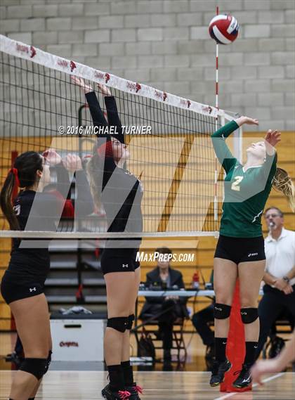 Thumbnail 2 in Paradise @ Foothill photogallery.