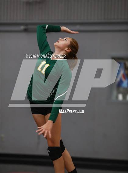 Thumbnail 3 in Paradise @ Foothill photogallery.