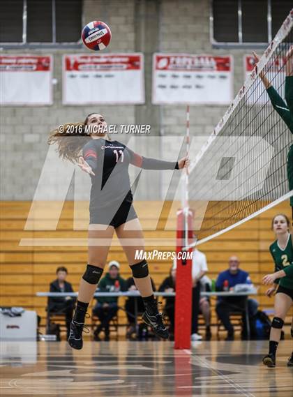 Thumbnail 2 in Paradise @ Foothill photogallery.