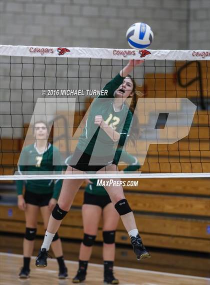 Thumbnail 3 in Paradise @ Foothill photogallery.