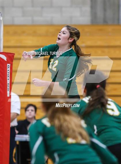 Thumbnail 1 in Paradise @ Foothill photogallery.