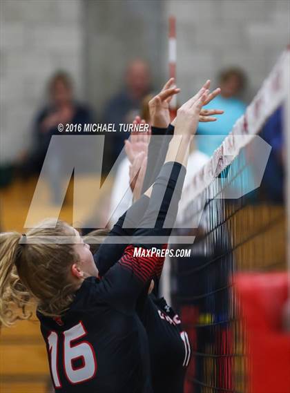 Thumbnail 3 in Paradise @ Foothill photogallery.