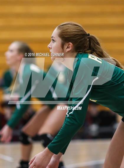 Thumbnail 2 in Paradise @ Foothill photogallery.