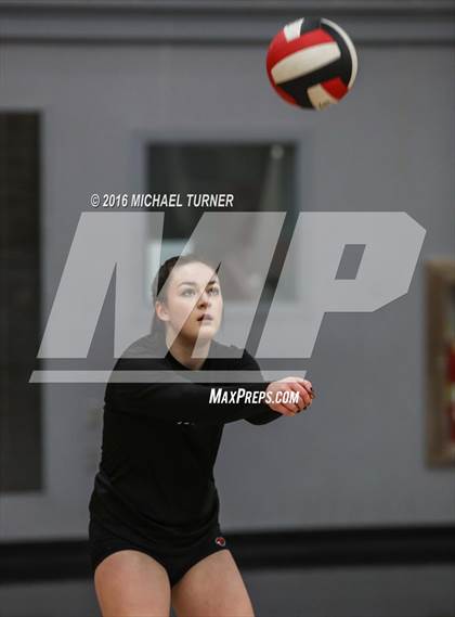 Thumbnail 1 in Paradise @ Foothill photogallery.