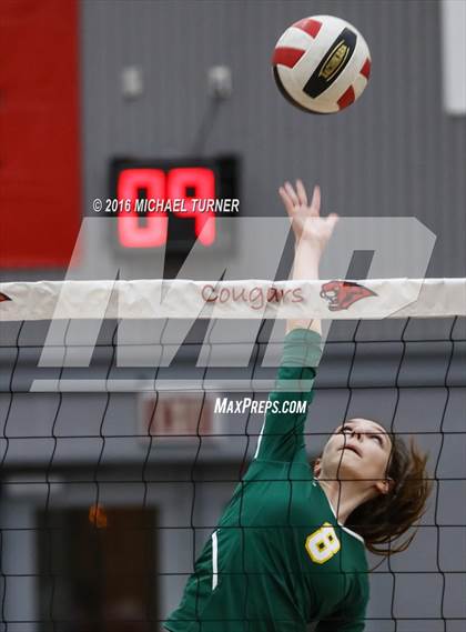 Thumbnail 3 in Paradise @ Foothill photogallery.
