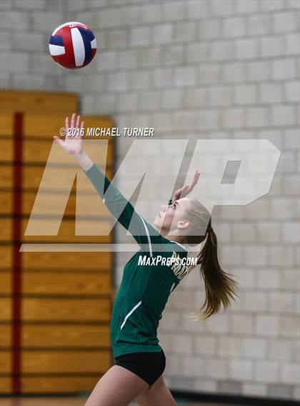 Thumbnail 2 in Paradise @ Foothill photogallery.
