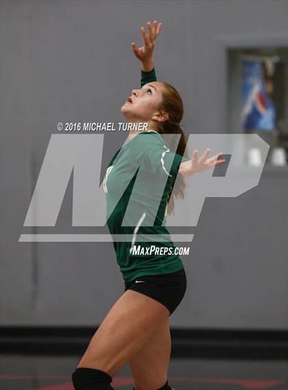 Thumbnail 2 in Paradise @ Foothill photogallery.