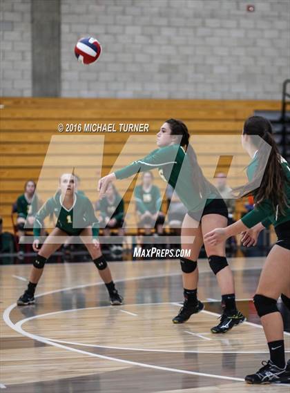 Thumbnail 2 in Paradise @ Foothill photogallery.