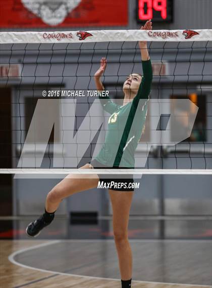 Thumbnail 1 in Paradise @ Foothill photogallery.
