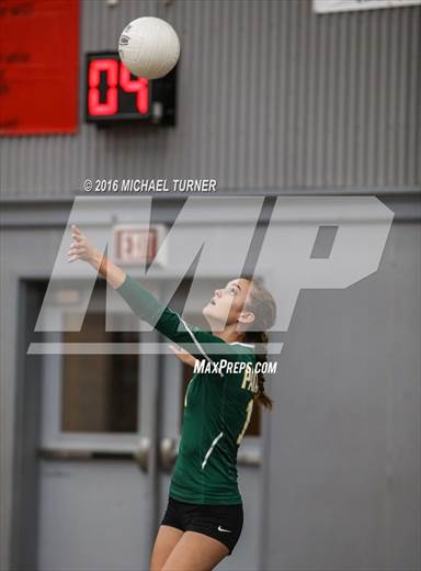 null - Photo 01