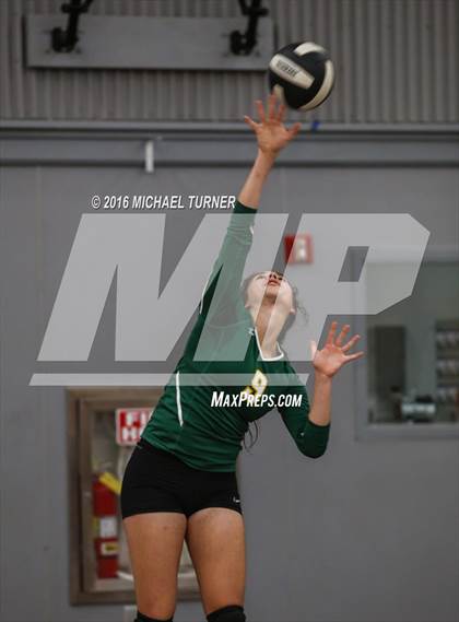 Thumbnail 1 in Paradise @ Foothill photogallery.