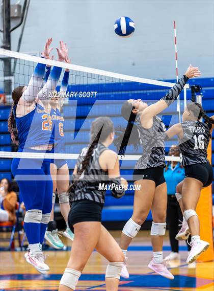 Thumbnail 1 in Hernando @ DeSoto Central photogallery.