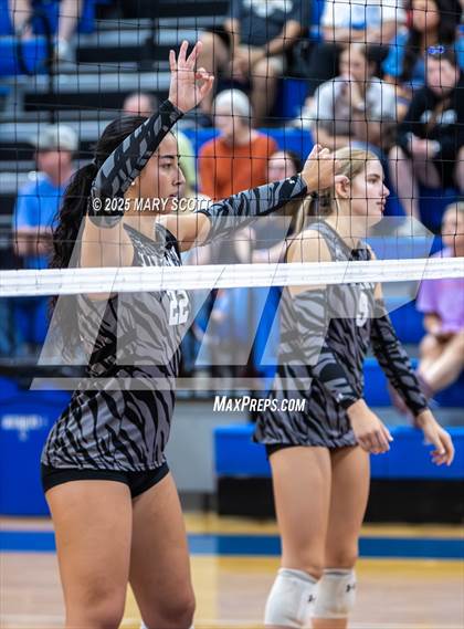 Thumbnail 1 in Hernando @ DeSoto Central photogallery.