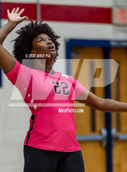 Thumbnail 3 in Pine Forest @ Terry Sanford photogallery.