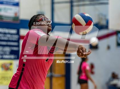 Thumbnail 2 in Pine Forest @ Terry Sanford photogallery.