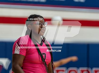 Thumbnail 1 in Pine Forest @ Terry Sanford photogallery.
