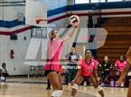 Photo from the gallery "Pine Forest @ Terry Sanford"