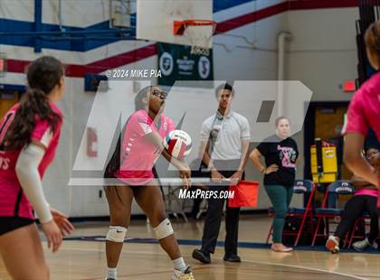 Thumbnail 1 in Pine Forest @ Terry Sanford photogallery.