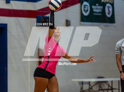 Thumbnail 2 in Pine Forest @ Terry Sanford photogallery.