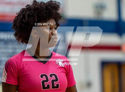 Thumbnail 1 in Pine Forest @ Terry Sanford photogallery.