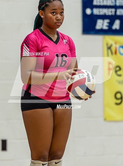 Thumbnail 3 in Pine Forest @ Terry Sanford photogallery.