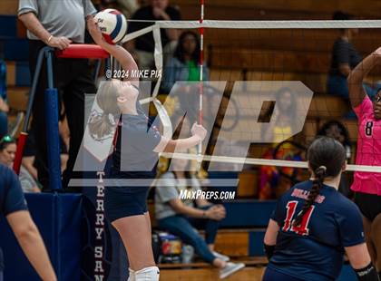 Thumbnail 1 in Pine Forest @ Terry Sanford photogallery.